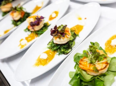 Firmenportrait Braunschweig